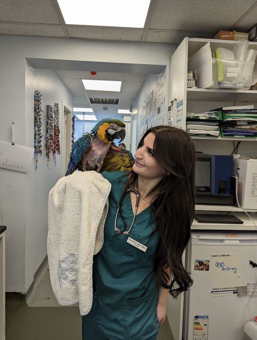 Shannon Mitchell BSc Hons, Student VN