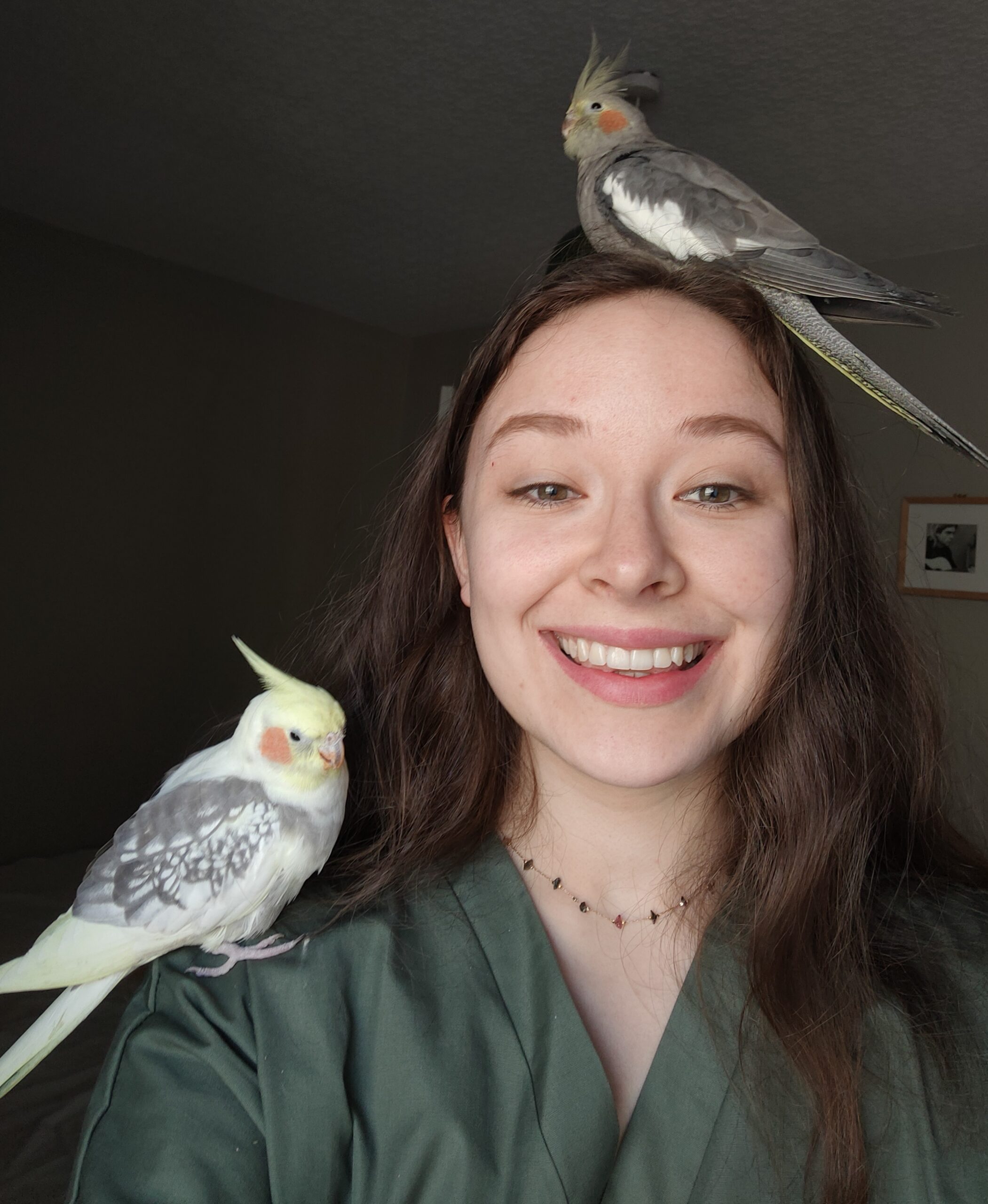 Dr Holly Richards BVMS MRCVS